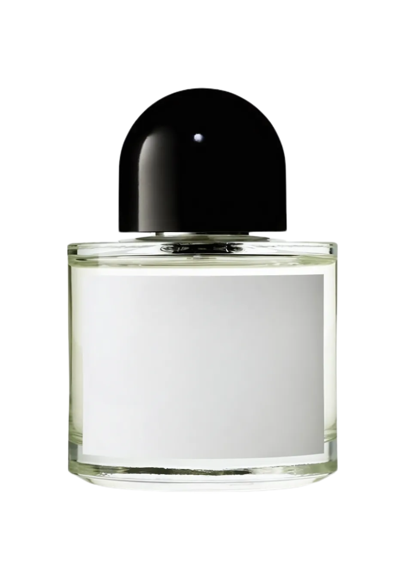 313 Rose Of No Man's Land