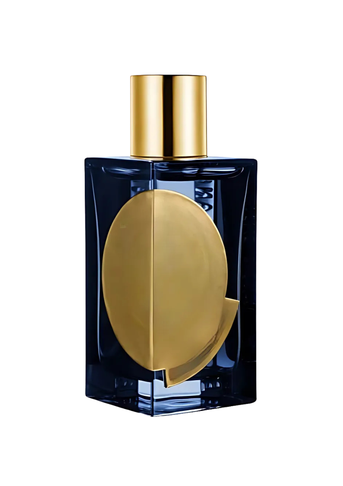 313 Experimentum Crucis