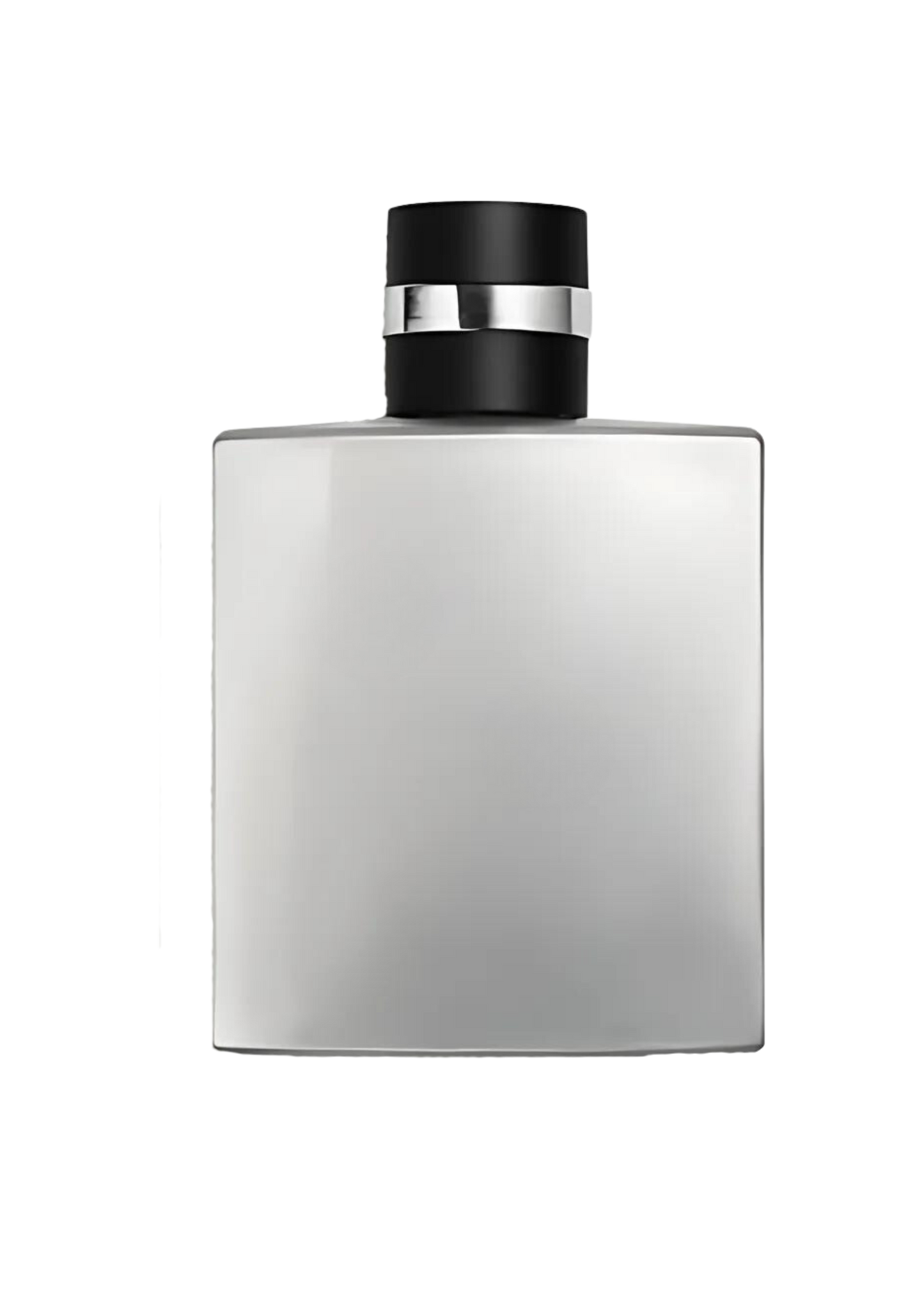 313 Allure Homme Sport