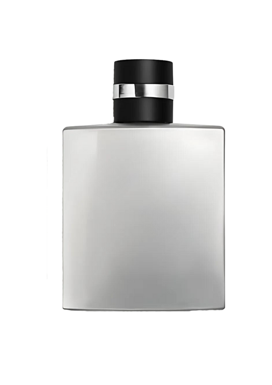 313 Allure Homme Sport