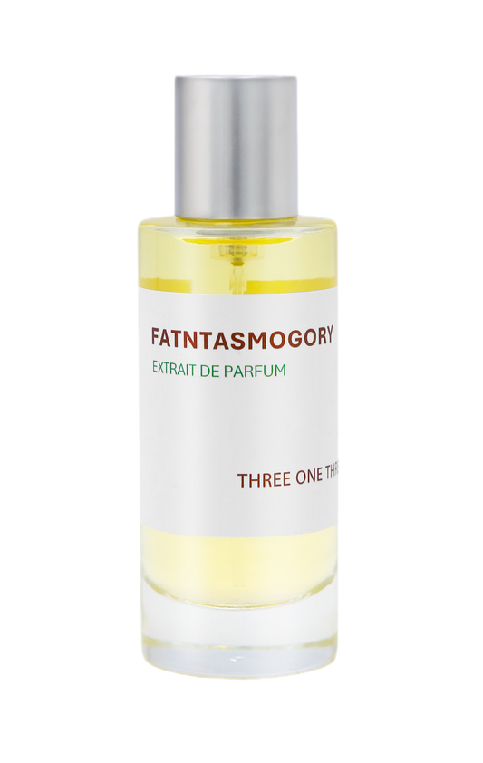 313 Fantasmagory