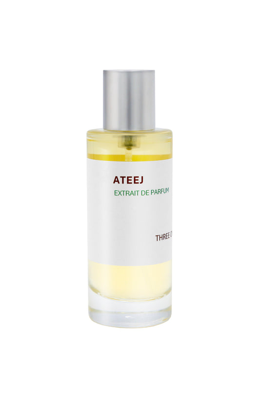 313 Ateej