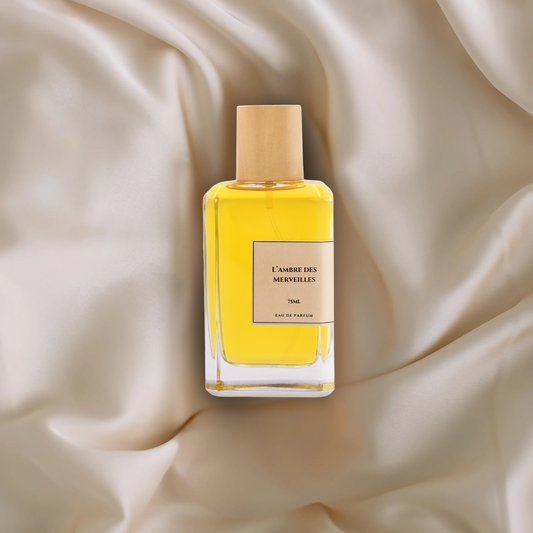 313 L’ambre des Merveilles