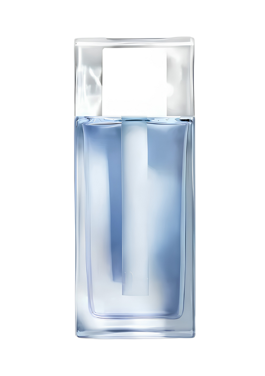 313 Homme Cologne