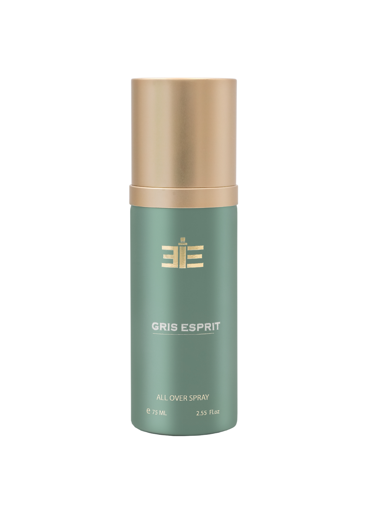 313 Gris Esprit All-Over Spray