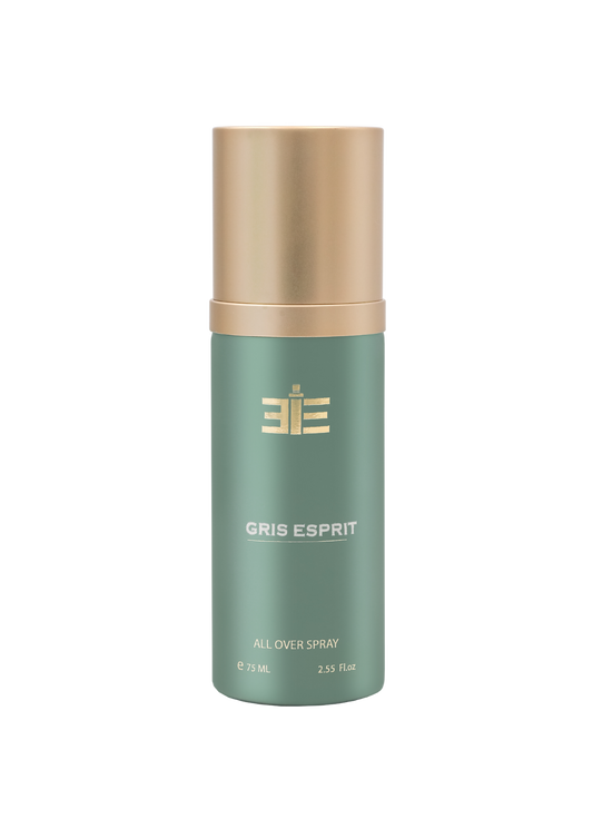 313 Gris Esprit All-Over Spray