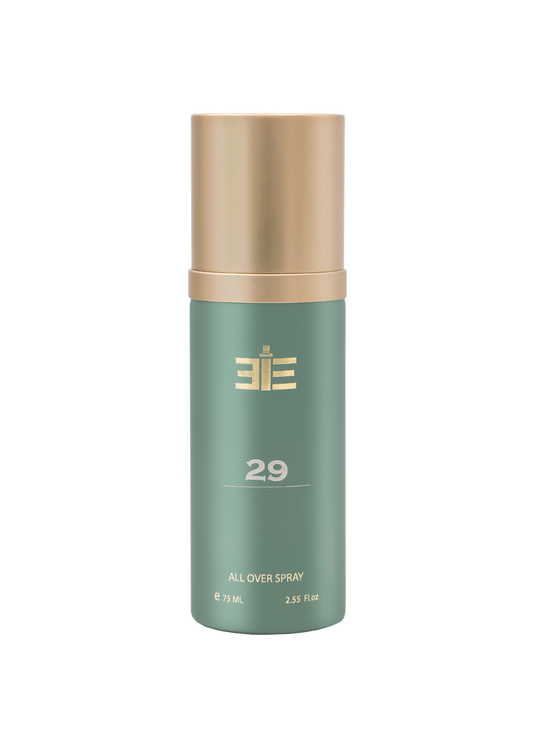 313 29 All-Over Spray