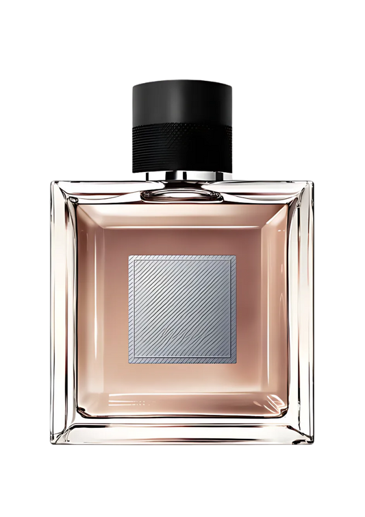 313 L’homme Idéal